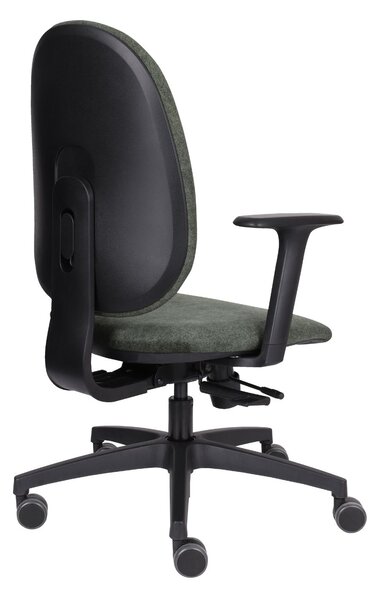Scaun de birou pentru copii Milo BT