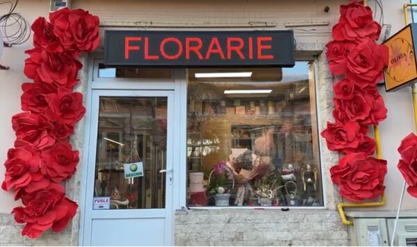 Panou Led de Exterior WIFI Programabil/Reclama Luminoasa 100x20 ROSU ideala pentru FLORARIE
