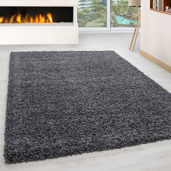 Covor gri închis 80x150 cm Life – Ayyildiz Carpets