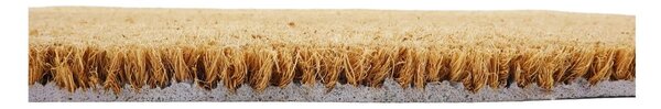 Covoraș de intrare din fibre de nucă de cocos 40x60 cm Life Is Better With a Cat – Artsy Doormats