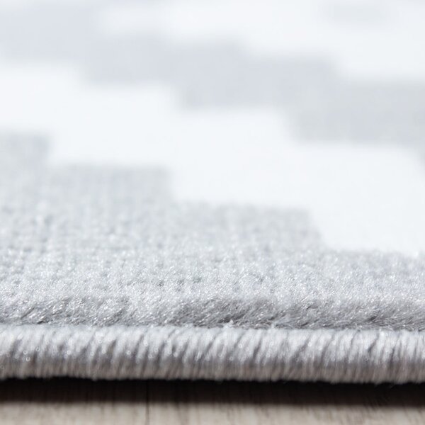 Covor gri deschis 160x230 cm Plus – Ayyildiz Carpets
