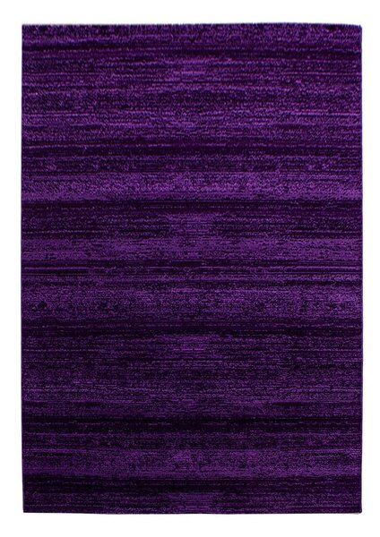 Covor violet 80x150 cm Plus – Ayyildiz Carpets