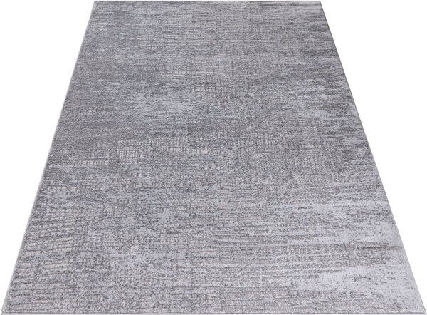 Covor Ariano gri 200/290 cm