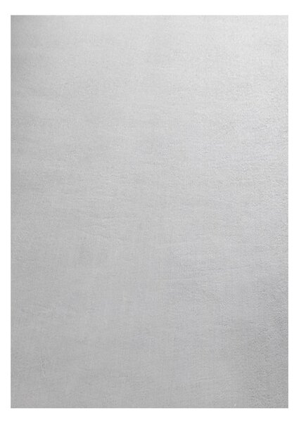 Covor gri deschis lavabil 160x230 cm Sky – Ayyildiz Carpets