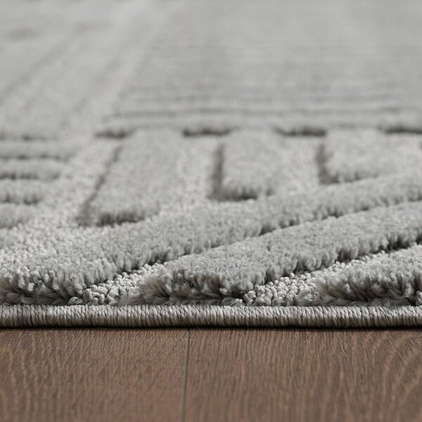 Covor gri deschis 140x200 cm Art – Ayyildiz Carpets