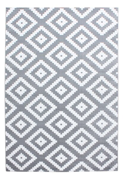 Covor gri deschis 160x230 cm Plus – Ayyildiz Carpets