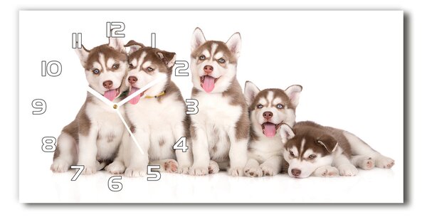 Ceas de perete modern din sticla catelusi Husky