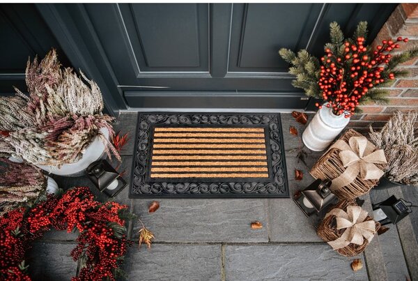 Covoraș de intrare din fibre de nucă de cocos 45x75 cm Panama – Hanse Home