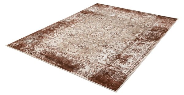 Covor maro 160x230 cm Terno Brown – FD