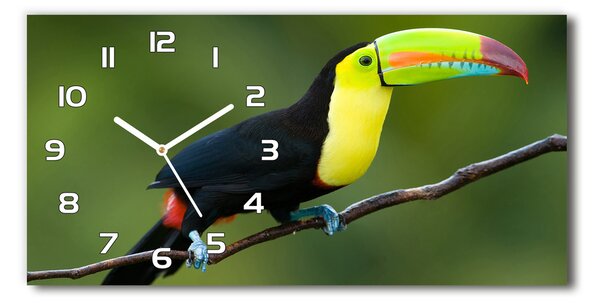 Ceas de perete orizontal din sticlă Toucan