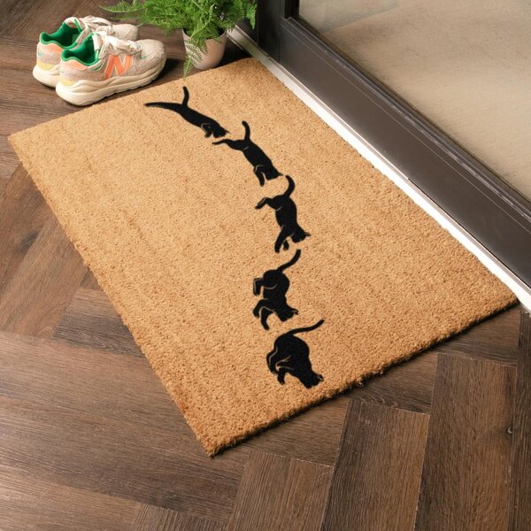 Covoraș de intrare din fibre de nucă de cocos 40x60 cm Jumping Cats – Artsy Doormats
