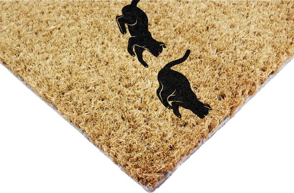 Covoraș de intrare din fibre de nucă de cocos 40x60 cm Jumping Cats – Artsy Doormats