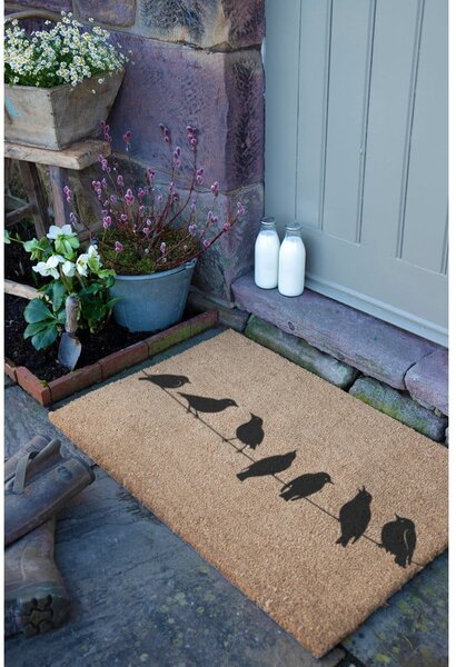 Covoraș de intrare din fibre de nucă de cocos 40x60 cm Birds On a Wire – Artsy Doormats
