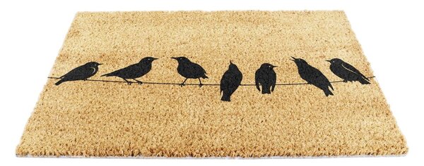 Covoraș de intrare din fibre de nucă de cocos 40x60 cm Birds On a Wire – Artsy Doormats