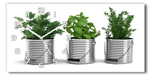 Ceas de perete modern din sticla plante aromatice