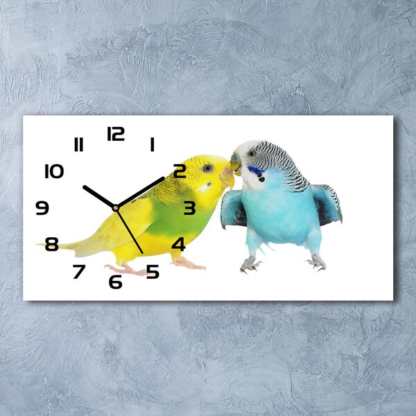 Ceas de perete orizontal din sticlă budgies