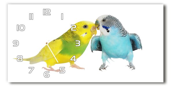 Ceas de perete orizontal din sticlă budgies