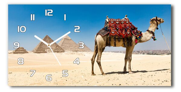 Ceas de perete modern din sticla Camel la Cairo