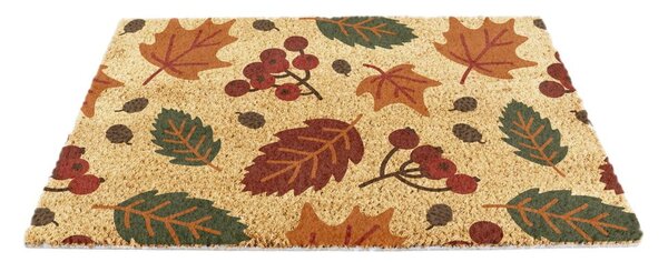 Covoraș de intrare din fibre de nucă de cocos 40x60 cm Autumn Leaves – Artsy Doormats