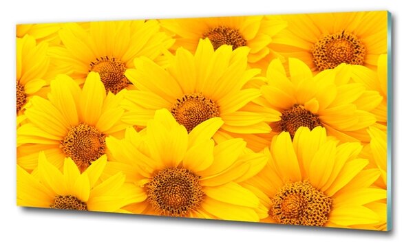 Tablou sticlă Floarea soarelui