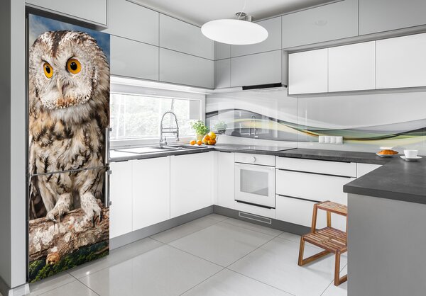 Autocolant pe frigider Owl pe deal