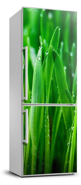 FotoFoto Autocolant pentru piele al frigiderului lame de iarbă