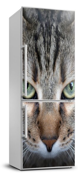 Autocolant pe frigider ochi de pisica