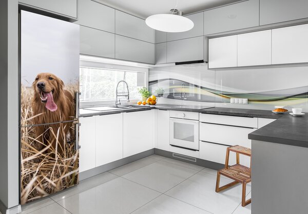 Autocolant pe frigider Labrador