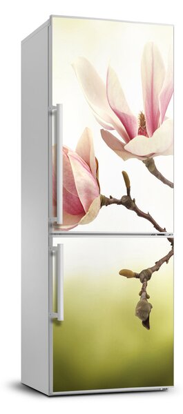 Foto Autocolant pentru piele al frigiderului flori magnolia
