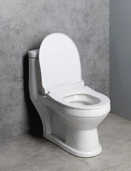 Aqualine Aqualine, WC combinat PETIT pentru copii, gunoi spate/inferior, alb, PT520