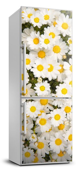 Autocolant pe frigider flori margarete