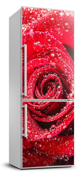Foto Autocolant pentru piele al frigiderului Trandafir roșu