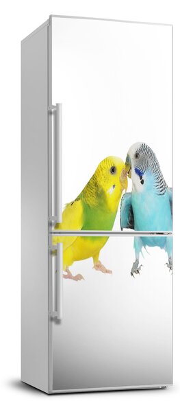 Autocolant pe frigider budgies