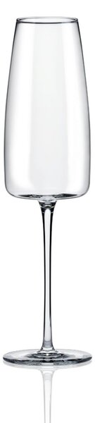 Set 6 pahare sampanie 340ml, RONA Lord