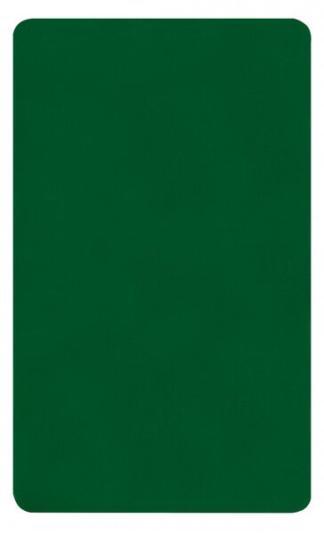 Tocator haccp 53x32.5x1.5cm, verde, Profi