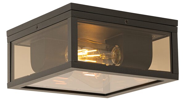 Plafoniera neagra cu sticla fumurie 2 lumini IP44 - Charlois