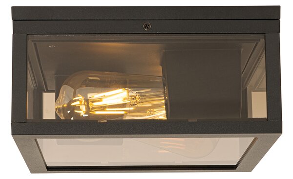 Plafoniera neagra cu sticla fumurie 2 lumini IP44 - Charlois