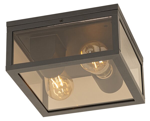 Plafoniera neagra cu sticla fumurie 2 lumini IP44 - Charlois