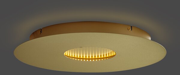 Plafonieră modernă aurie 40cm incl. LED cu 3 trepte de intensitate luminoasă - Morning