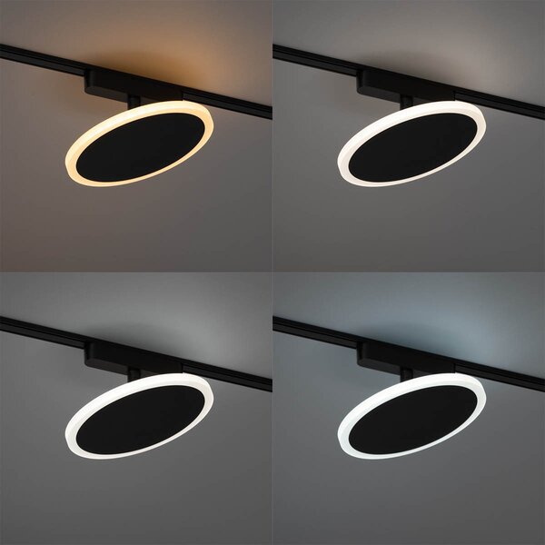 Spotlight modern negru pentru sistem de șine monofazat cu LED integrat - Magnetic Puk