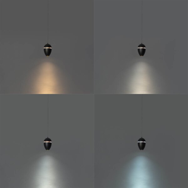 Lampă suspendată neagră modernă pentru sistem de șină monofazat, inclusiv LED - Magnetic Eggy