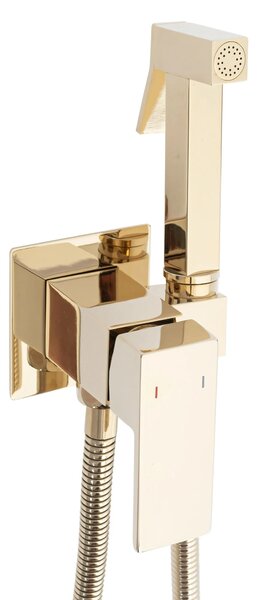 Rea Fenix ​​​​- Baterie pentru bideu ascuns, auriu, REA-B5771