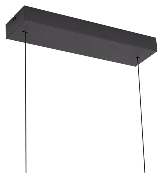 Lampă suspendată modernă neagră cu sticlă fumurie incl. LED Easylift - Catch