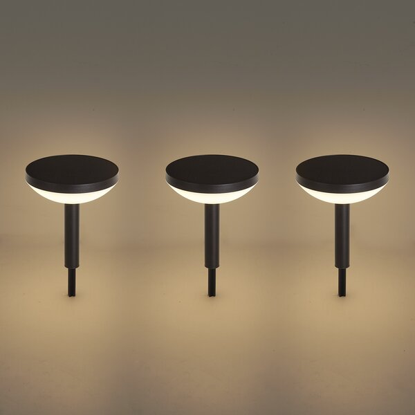 Set de 3 spoturi negre cu țepușă, inclusiv LED solar IP44 - Dottie