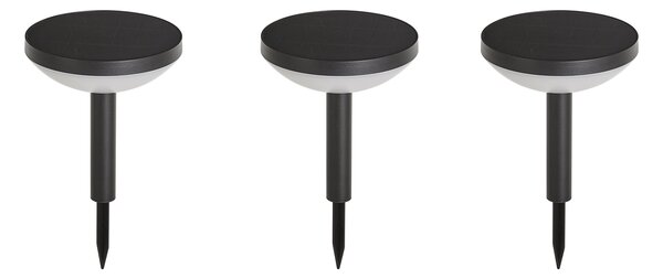 Set de 3 spoturi negre cu țepușă, inclusiv LED solar IP44 - Dottie
