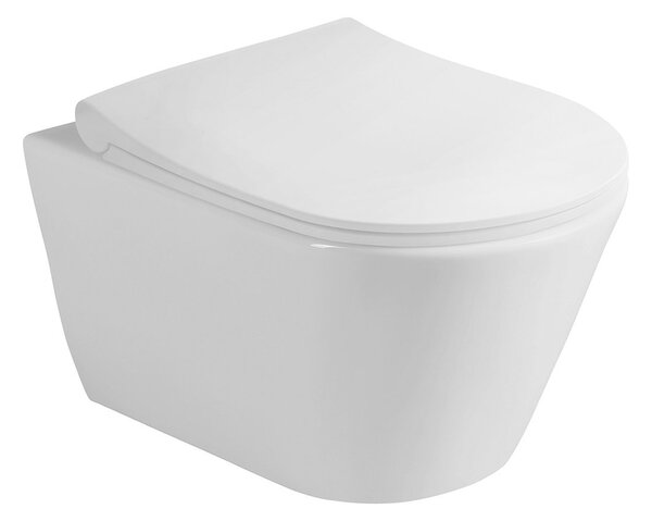 Sapho Sapho, vas de toaletă suspendat AVVA CLEANWASH cu bideu. cu spray, Rimless, 35,5x53cm, alb, 100312