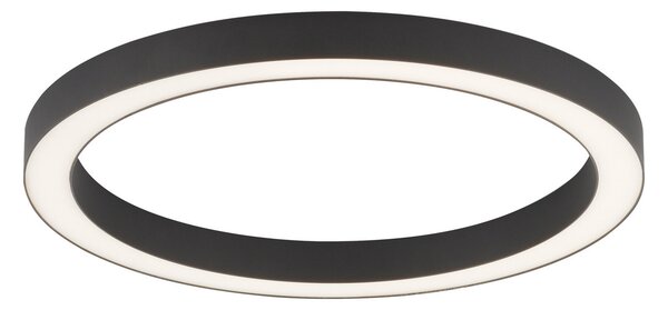 Plafoniere PURE, PURE Lines Round, reglabil, Negru, Camera de zi, Metal, Modern