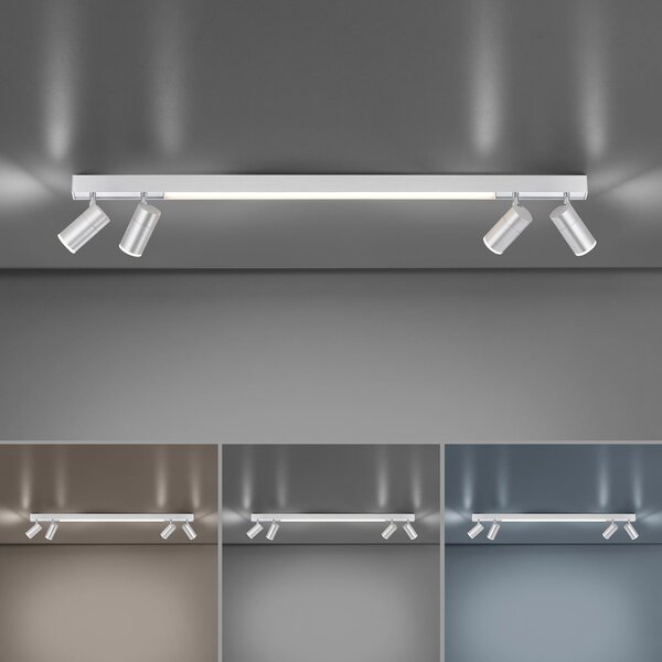 Plafoniere PURE, PURE Lines Spot, reglabil, Gri, Camera de zi, Metal, Modern