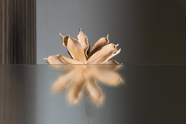 Aqualine Sapho, usa de dus PILOT cu aripi duble 800mm, PT082