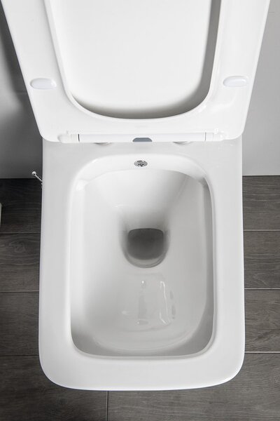 Sapho Vas WC suspendat Sapho, PORTO CLEANWASH Rimless, robinet integrat si spray bideu 36x52cm, alb, PZ102RX